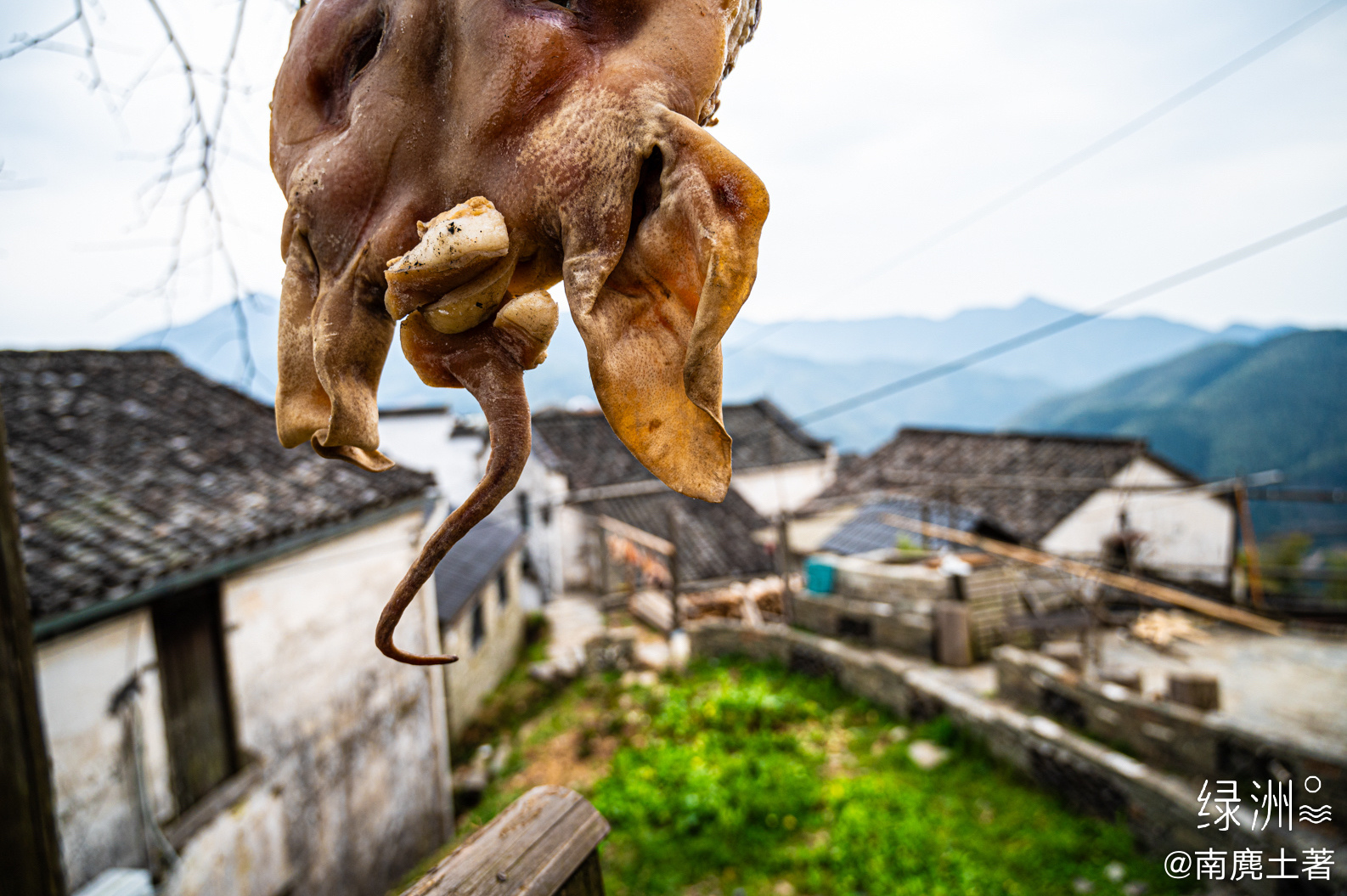腊肉图腾 安徽｜休宁#春游季#  