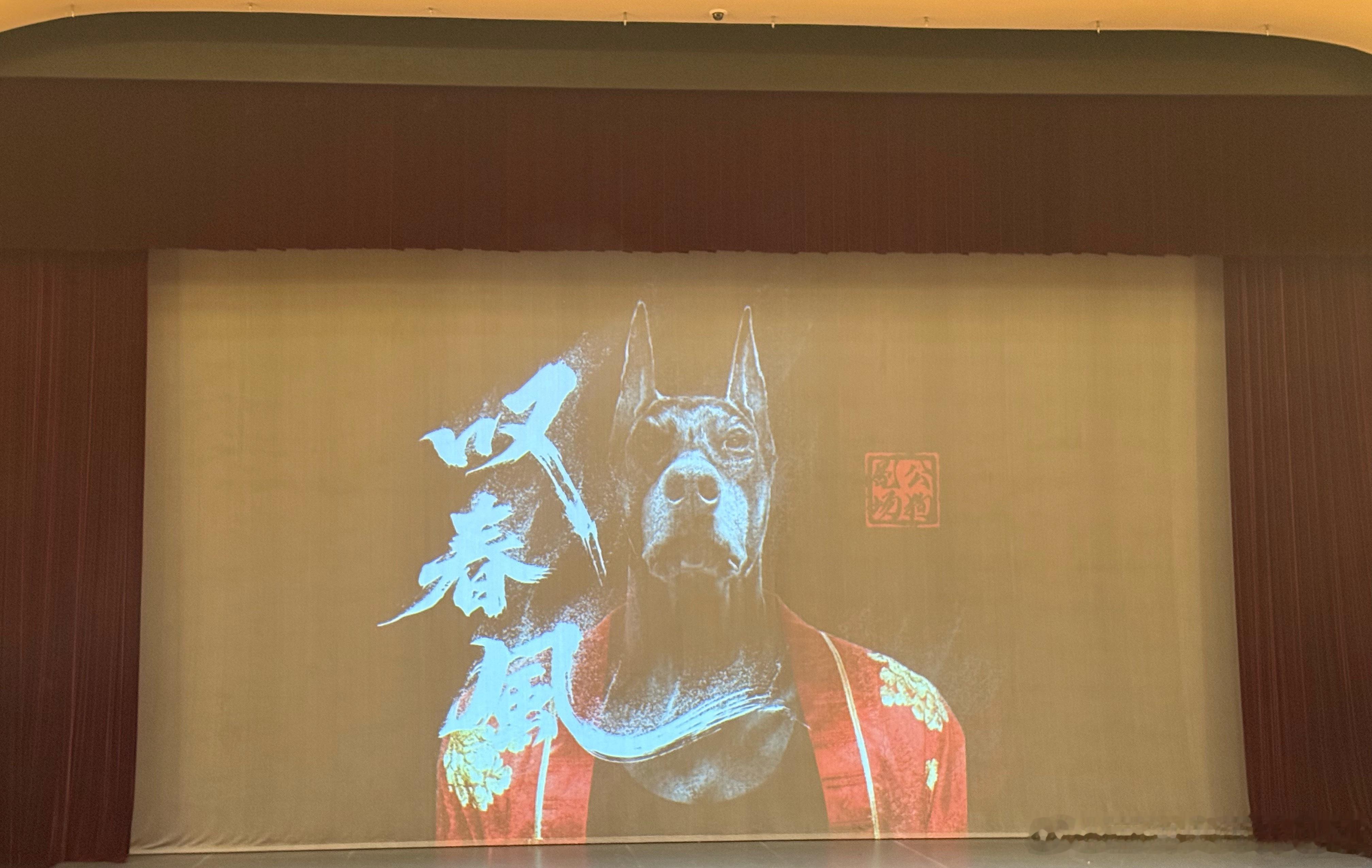 今天休息，来看男模