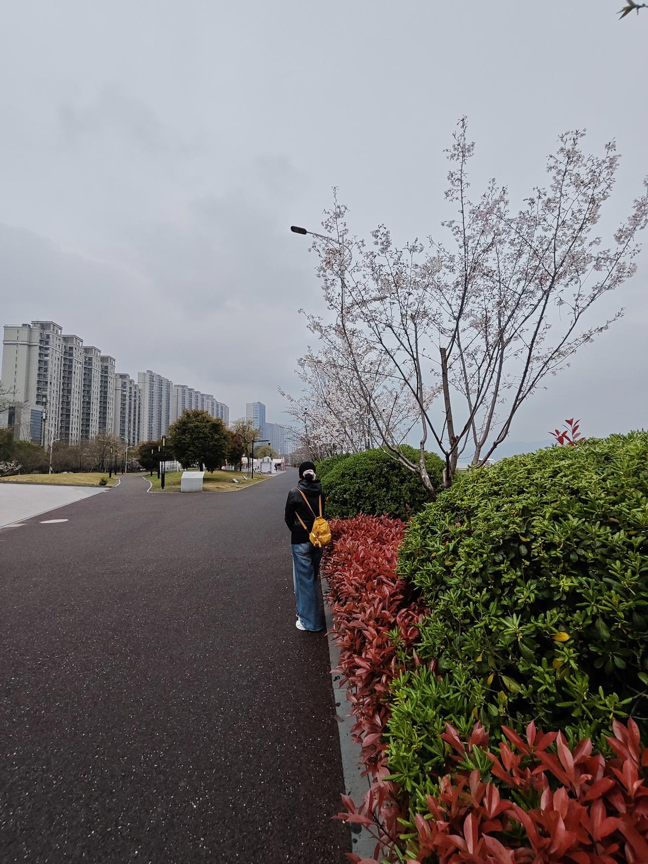 我的今日状态：😁轻松愉快
我这里的天气：🌤️多云

每当我从钱塘江大桥骑行经