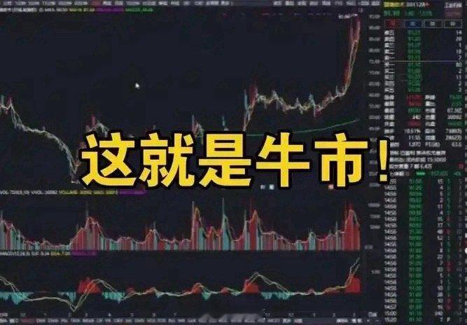 赤峰黄金，端着金饭碗吃饭！赤峰黄金半年报每股收益0.63元，净利润11.07亿元