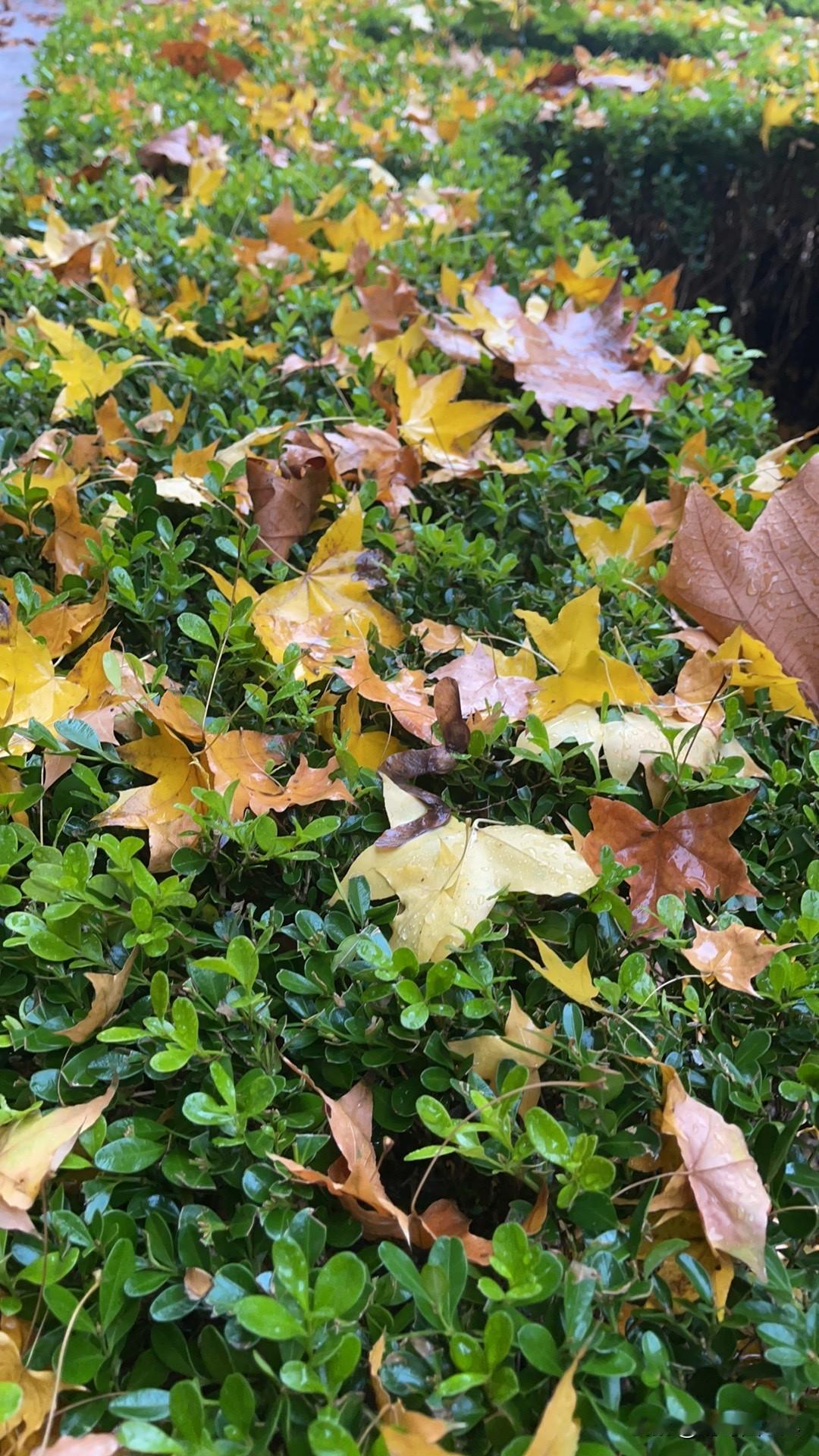 怎么也感觉不到人口下降，因为小区里推着婴儿车的人特别多，那么多小孩，怎么出生率下