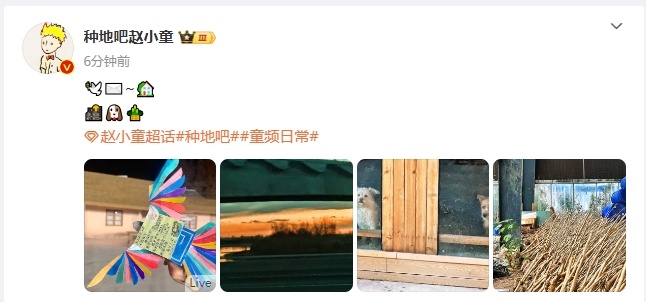 赵小童鸽子飞回家了  赵小童鸽子回家了  各位看客，赵小童的浪漫时刻不容错过！鸽