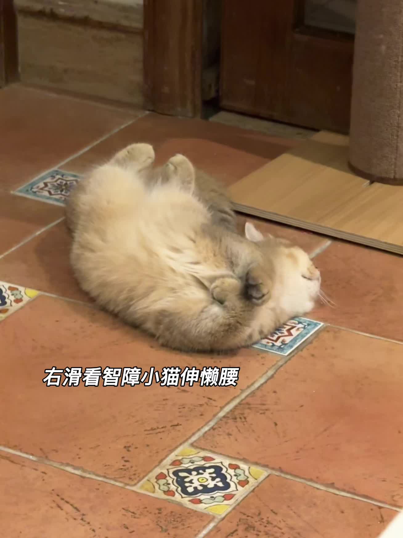 早早怎么睡觉姿势都这么睿智啊哈哈哈
