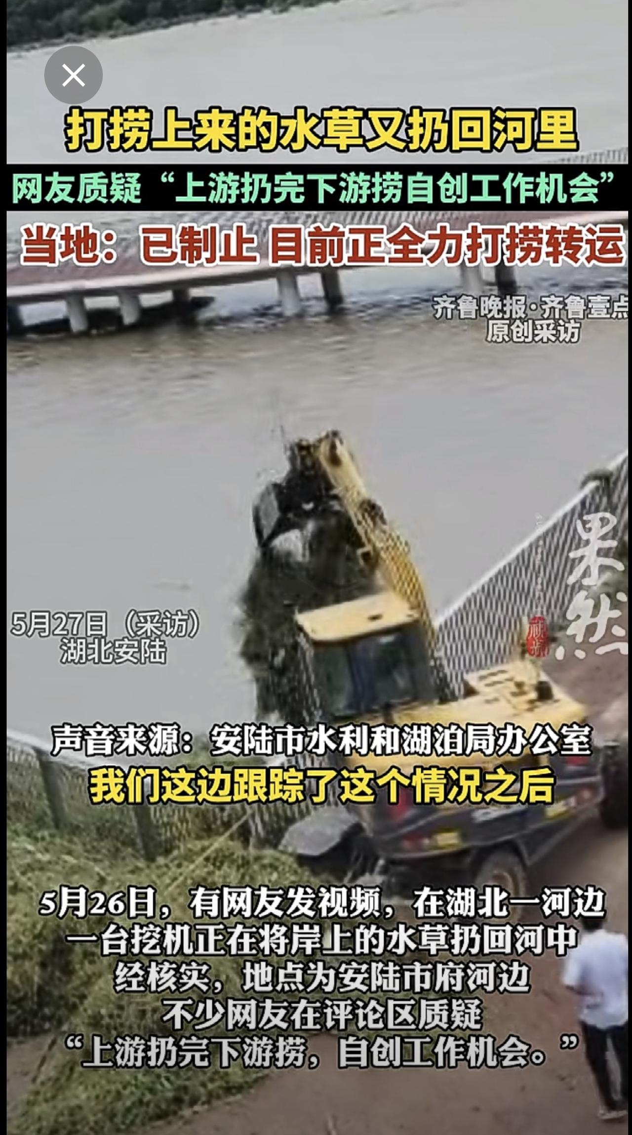湖北安陆将打捞水草又扔回河里，当地：已制止，正处理。