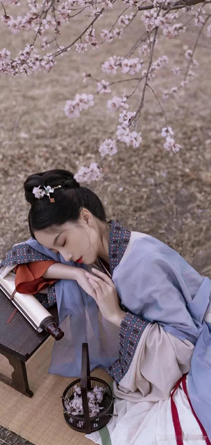 樱花树下，古风少女静卧，那画面仿佛能将人瞬间拉回古代。古风与樱花的搭配，充满了诗