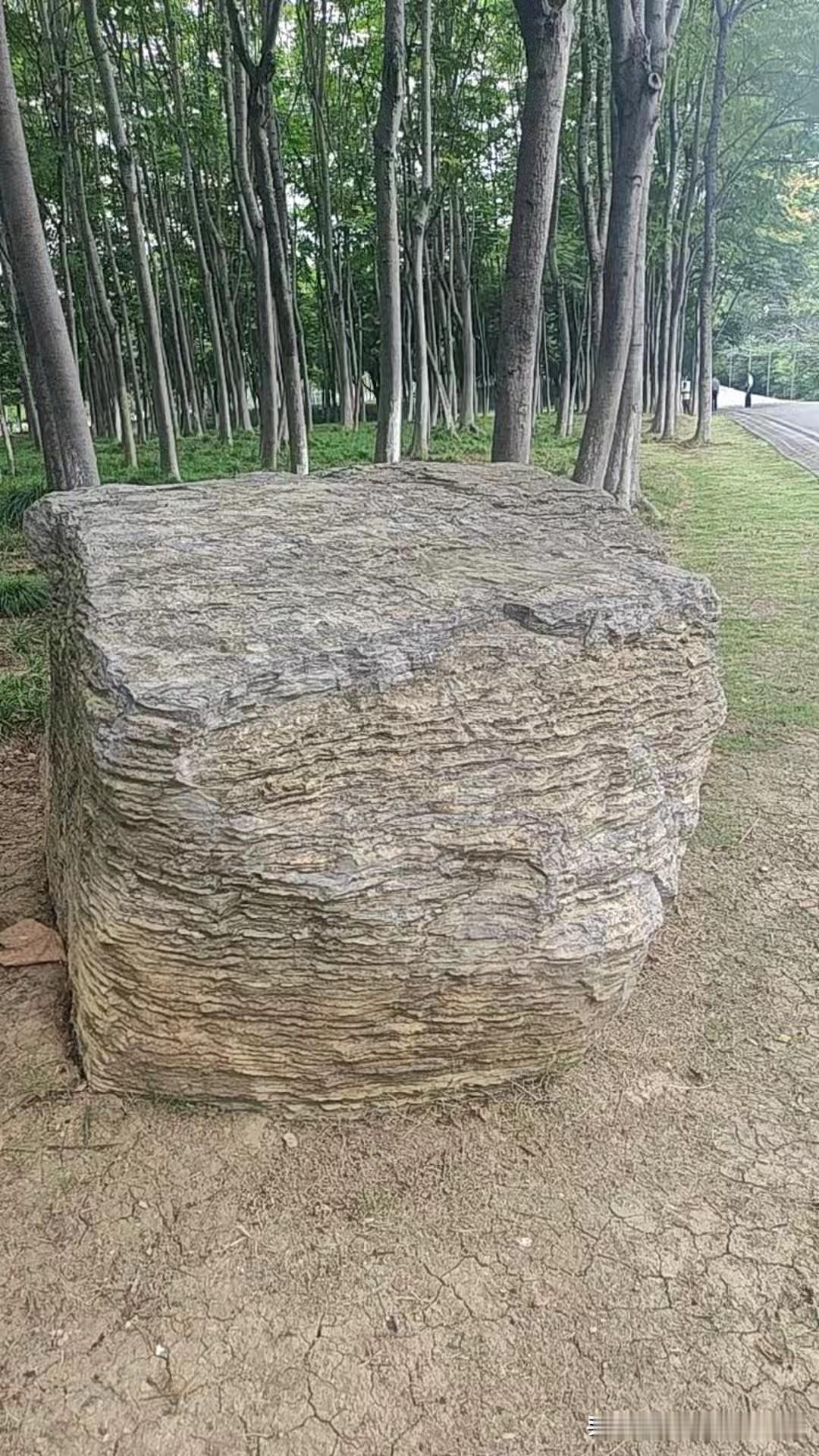 那就这样吧！
 
     今天天朗气清，微风轻拂，可气温还是居高不下，走在外头