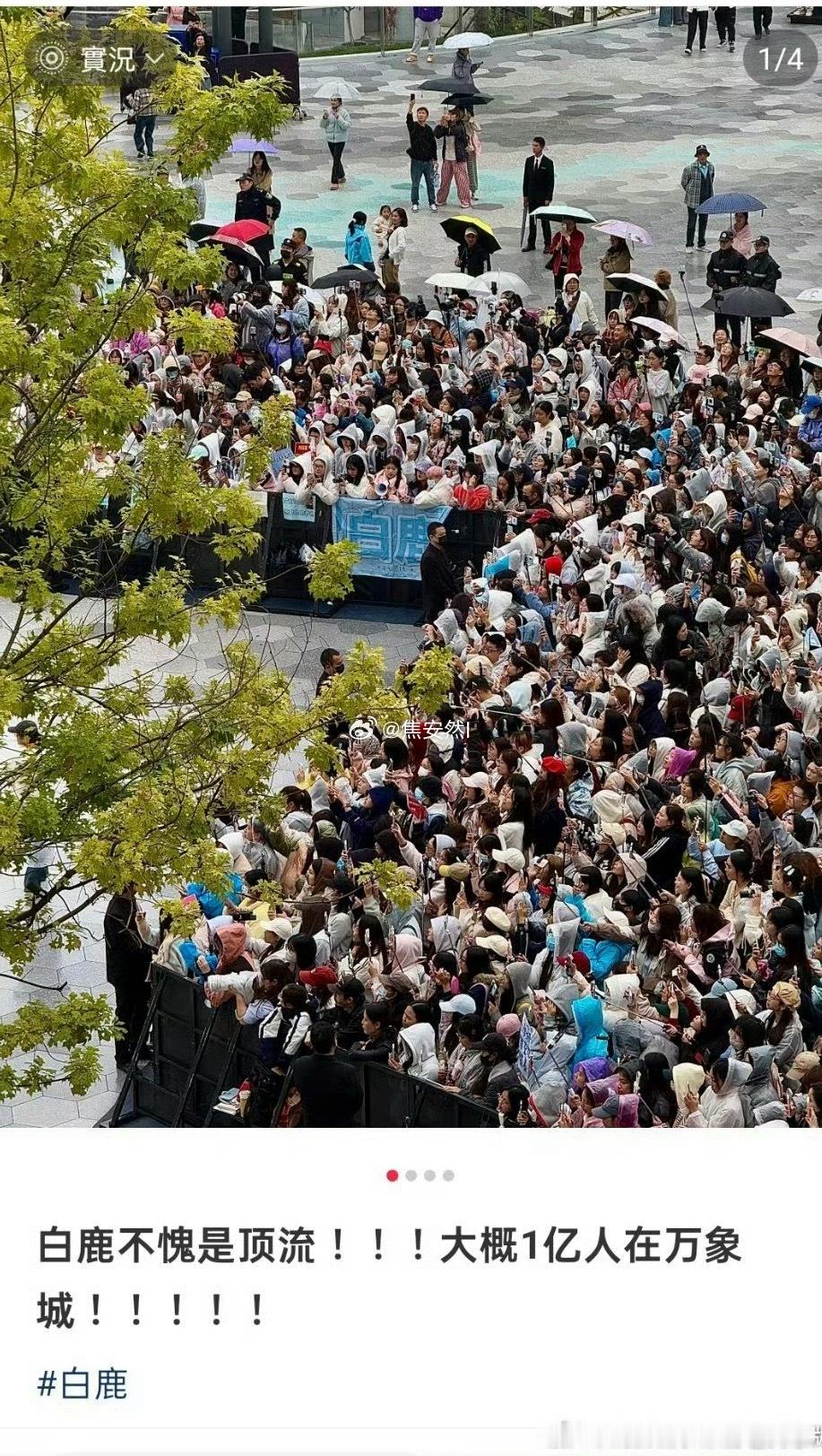 好歹也是流量花粉，这种人头数也拿出来炫吗…… ​​​