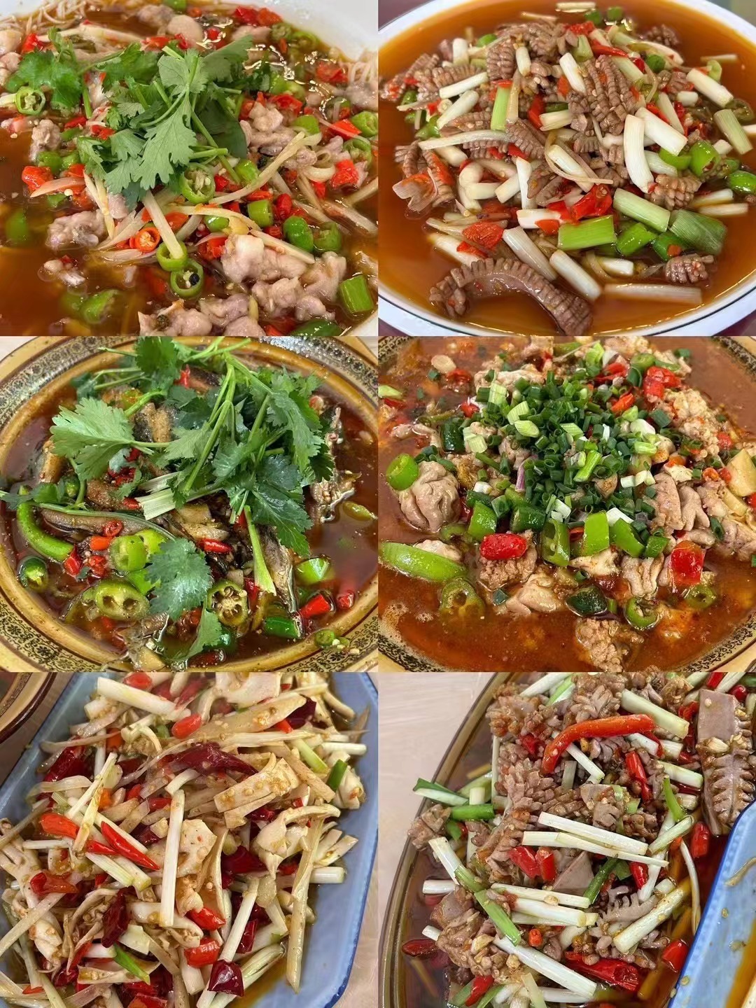 自贡特种兵一日游，这些菜都好辣啊！！但是超好吃！ ​​​