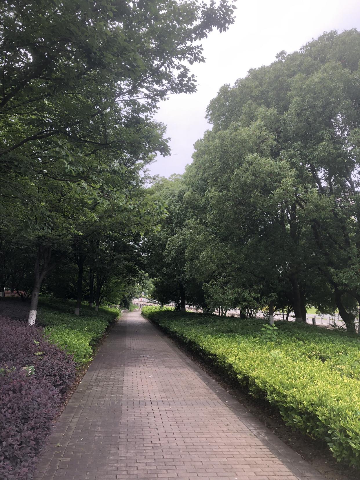 我的今日状态：😁轻松愉快
我这里的天气：🌤️多云
 今天常州多云转阴，二十二