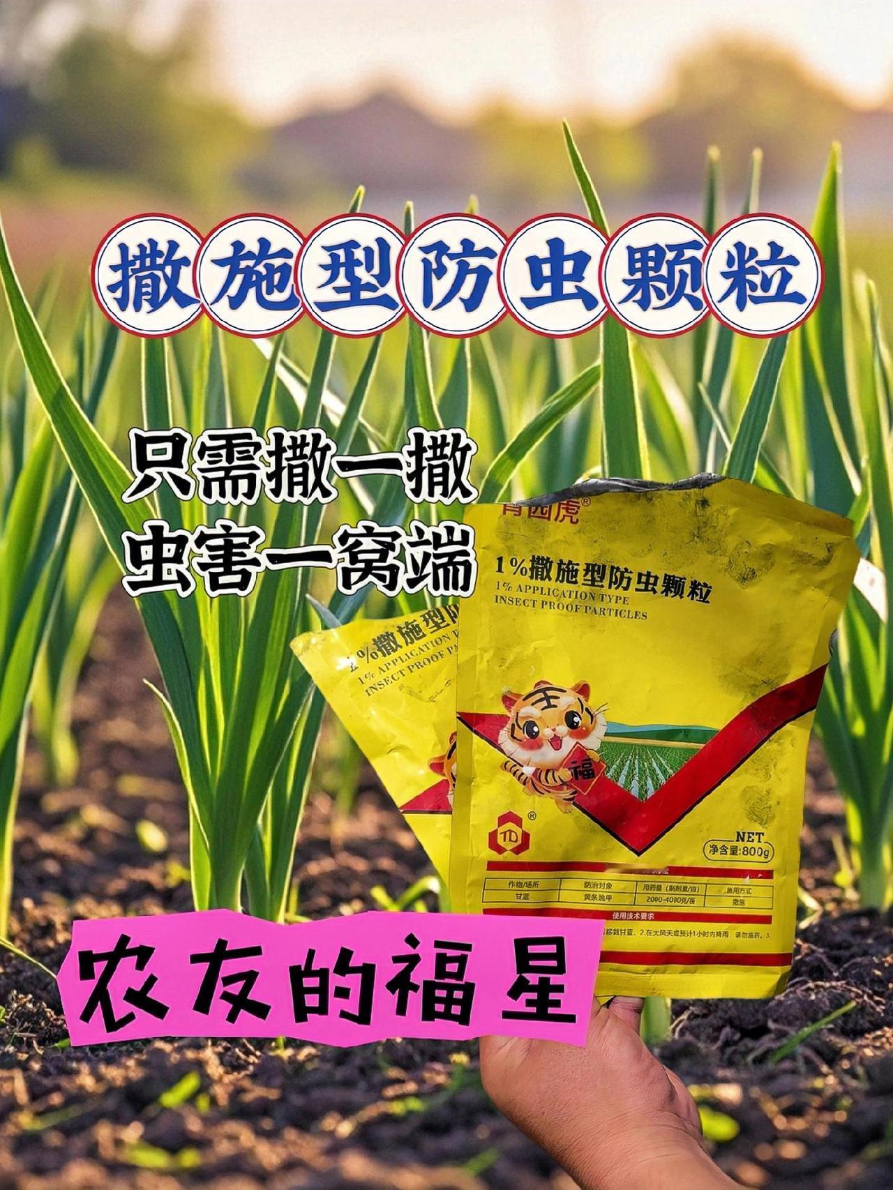 #病虫害防治 #地下害虫防治 【联苯噻虫胺颗粒，地下害虫克星！】全新配方，含虫子