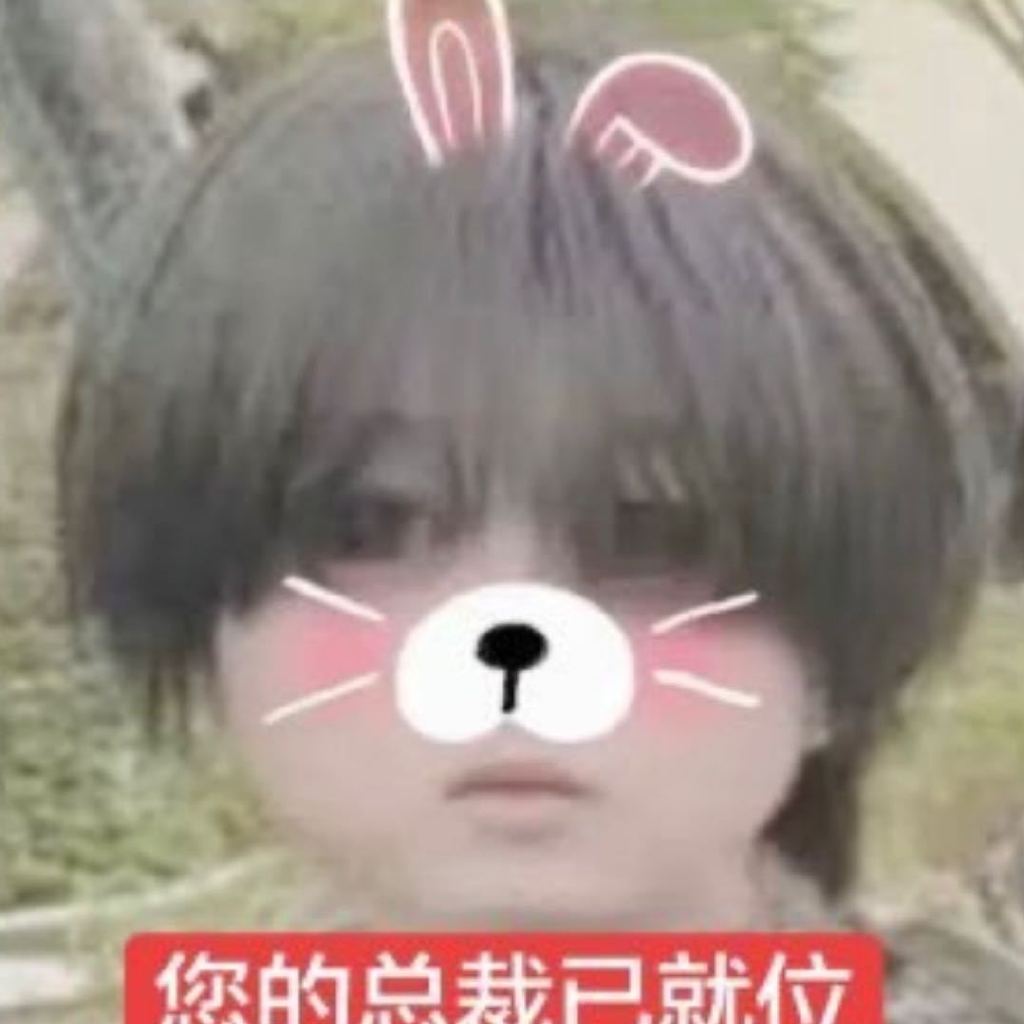 您的总裁已就位。 