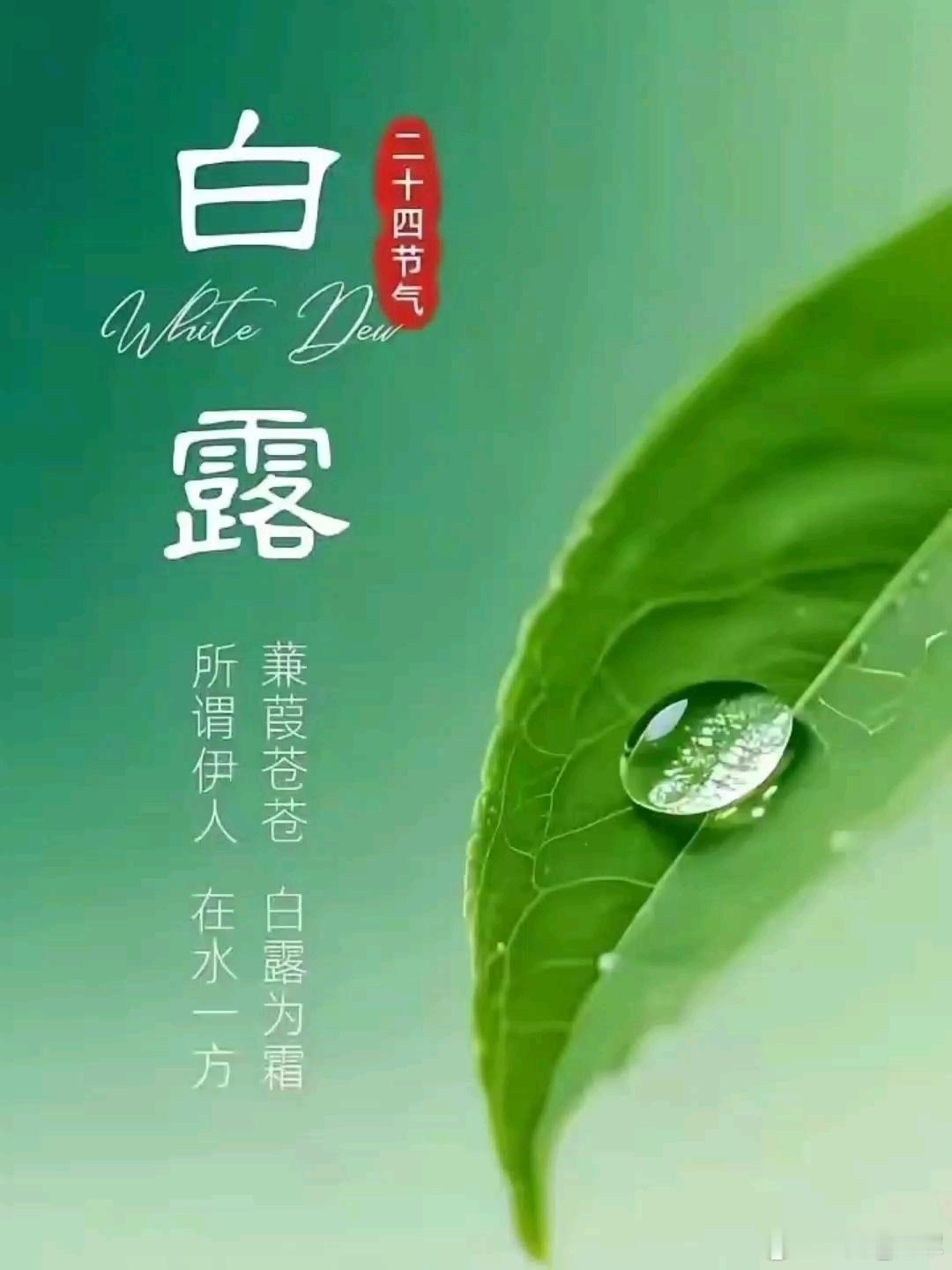 🌾白露｜最不能穿的三种衣服，老辈养生智慧明天9月7日，农历七月二十六，22点4