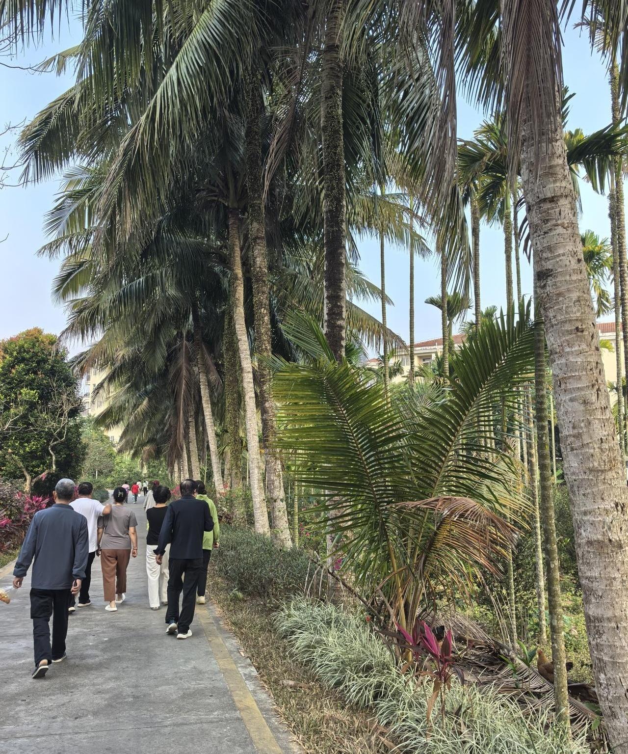 你敢信吗？在海南过冬的养老圈里，月入两万和月入四千的老人，连广场舞都不在一个圈跳