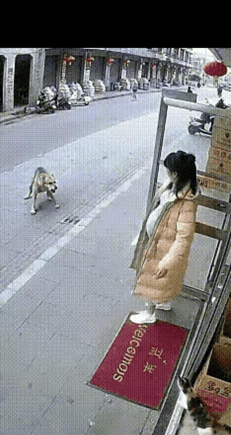 一只恶犬目露凶光的向一孕妇走来，孕妇顿感不妙，吓得连连后退不知所措，下一秒，意想
