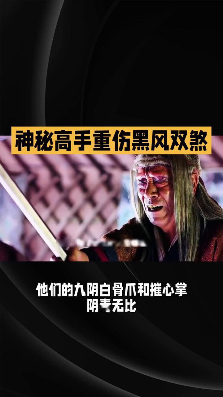 神秘高手重伤黑风双煞。
83版《射雕英雄传》第六集：高手现踪上集郭靖在崖顶得神秘