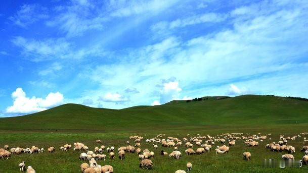 月薪一万六、三万亩草原、包吃住有Wi-Fi，这听起来像是逃离城市喧嚣的“诗和远方