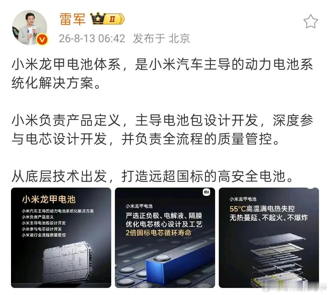 小米也开始做电池了，小米龙甲电池！听名字就很霸气