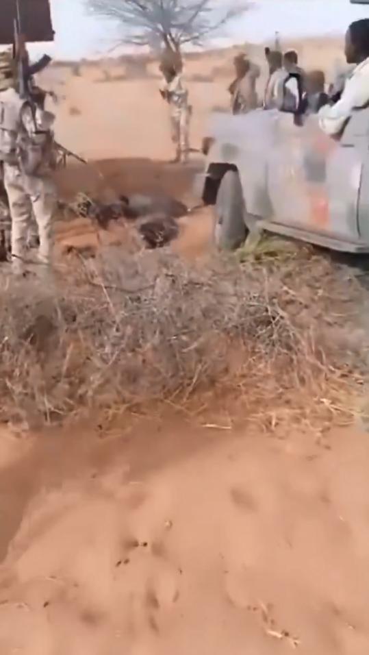 拍摄于2025年5月的视频，视频显示苏丹快速支援部队（RSF）民兵强迫平民趴在地