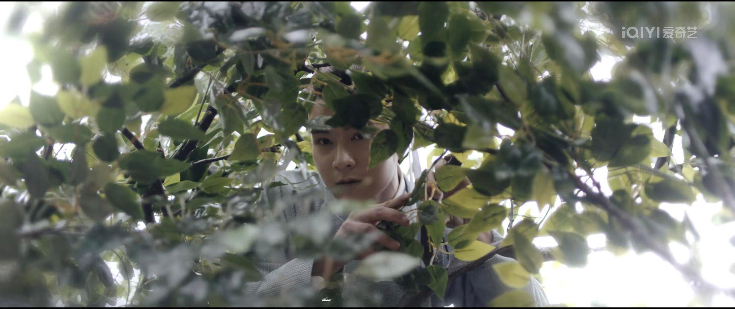 唐朝诡事录青年太平公主演员和岳丽娜真的长挺像的唐犟宗还结合了父母的优秀基因🧬是