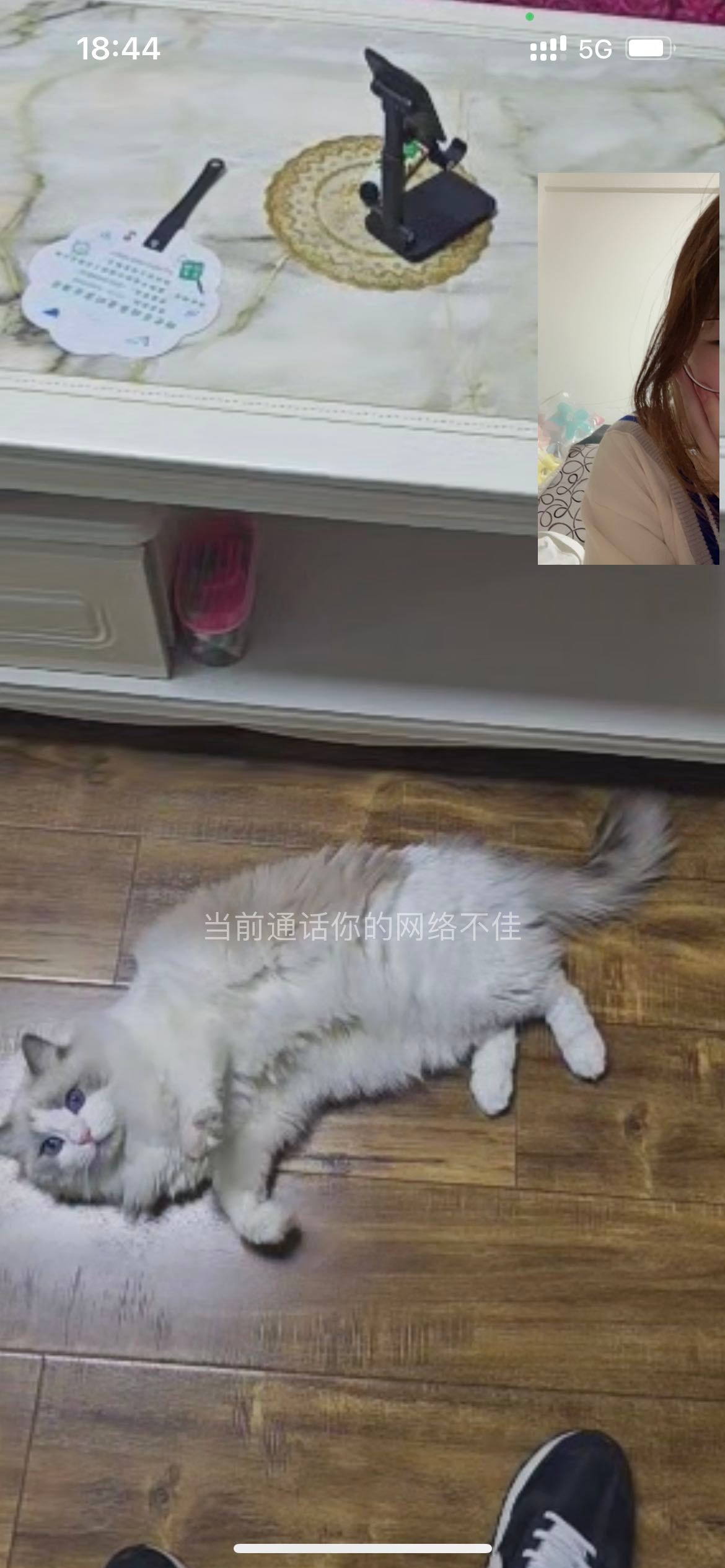 夺待银亲的小猫咪啊呜呜呜[舔屏][舔屏][舔屏]隔空给妈妈撒娇 ​​​