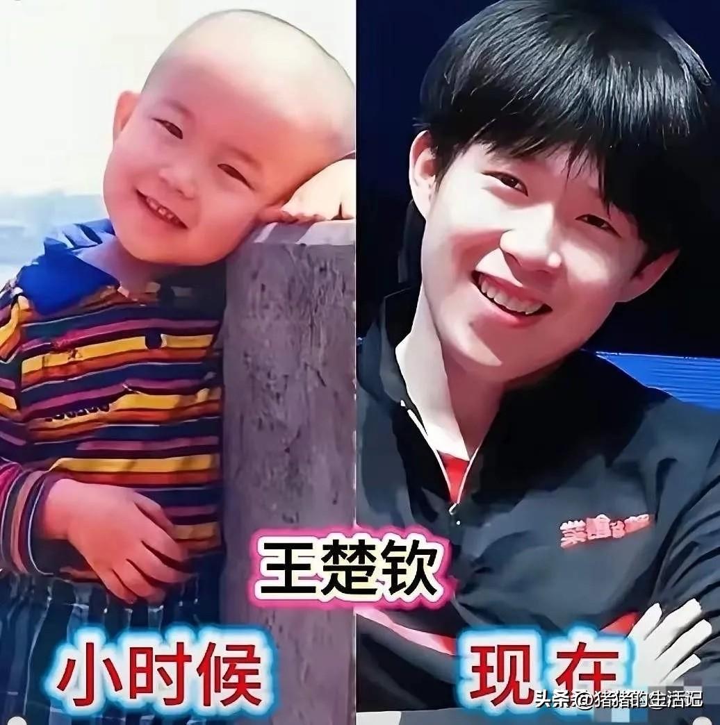 王楚钦，小时候就很帅。
樊振东，小时候就很帅。
林高远，小时候就很帅。
马龙，小