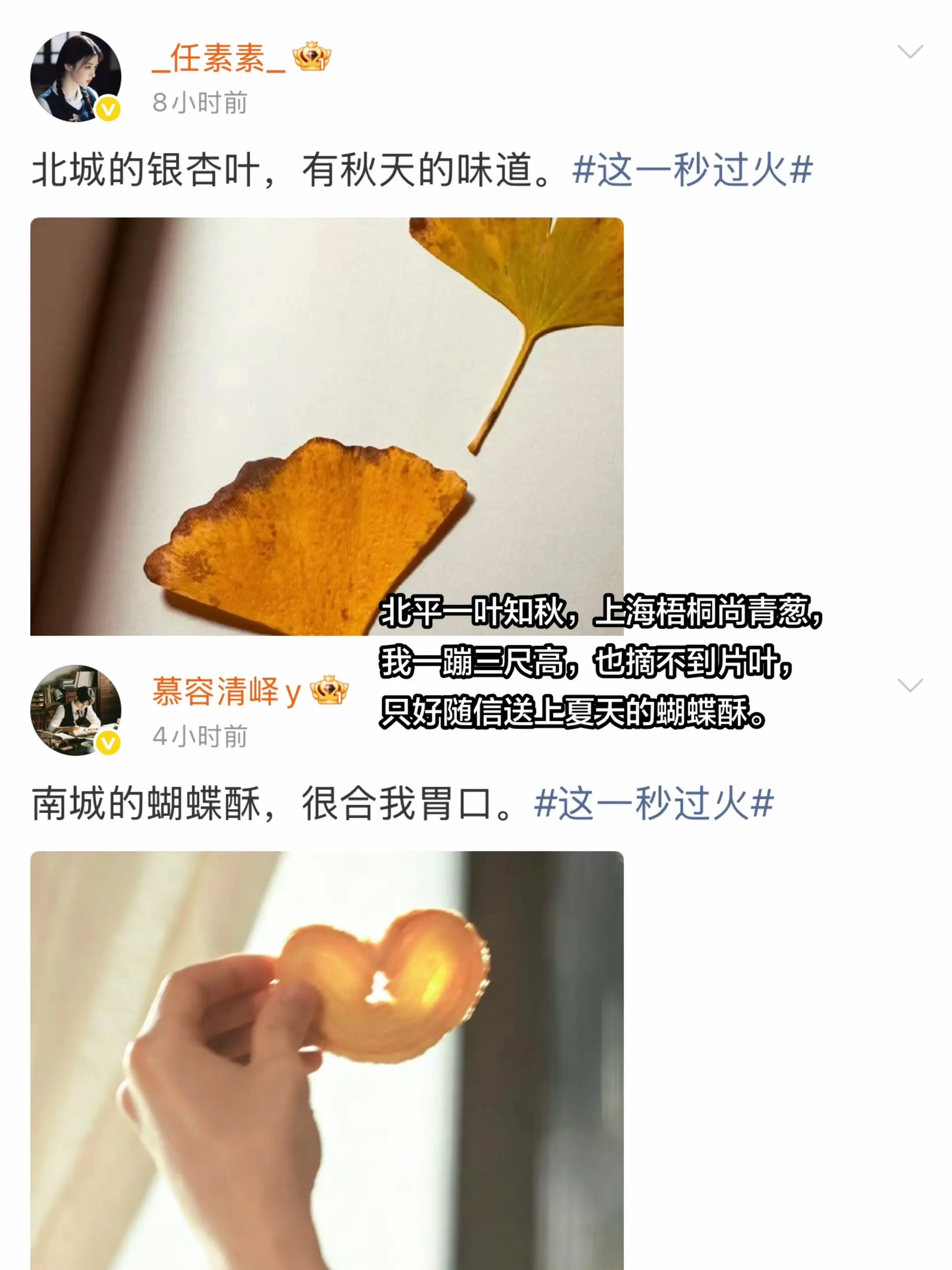 “独活先生 哭包小姐”