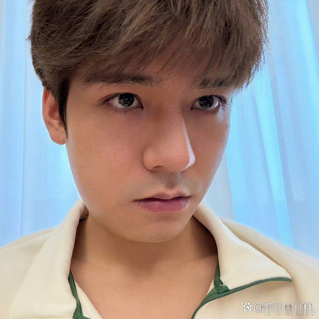 这是龚俊蜜蜂小狗！简直一毛一样，像是胖了200斤～ 