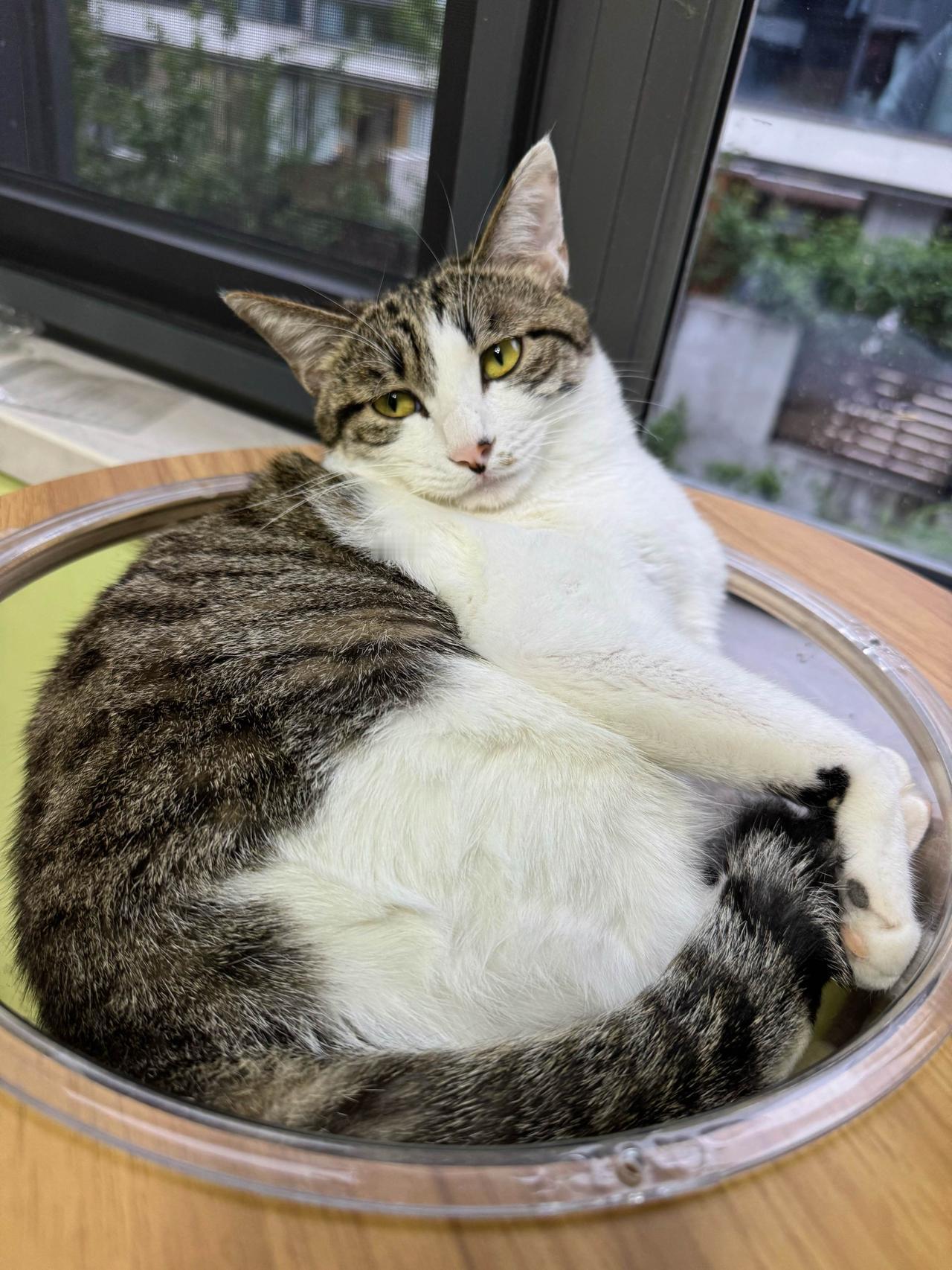 小鸟TV因下雨停播，闻讯观众们都没精打采的