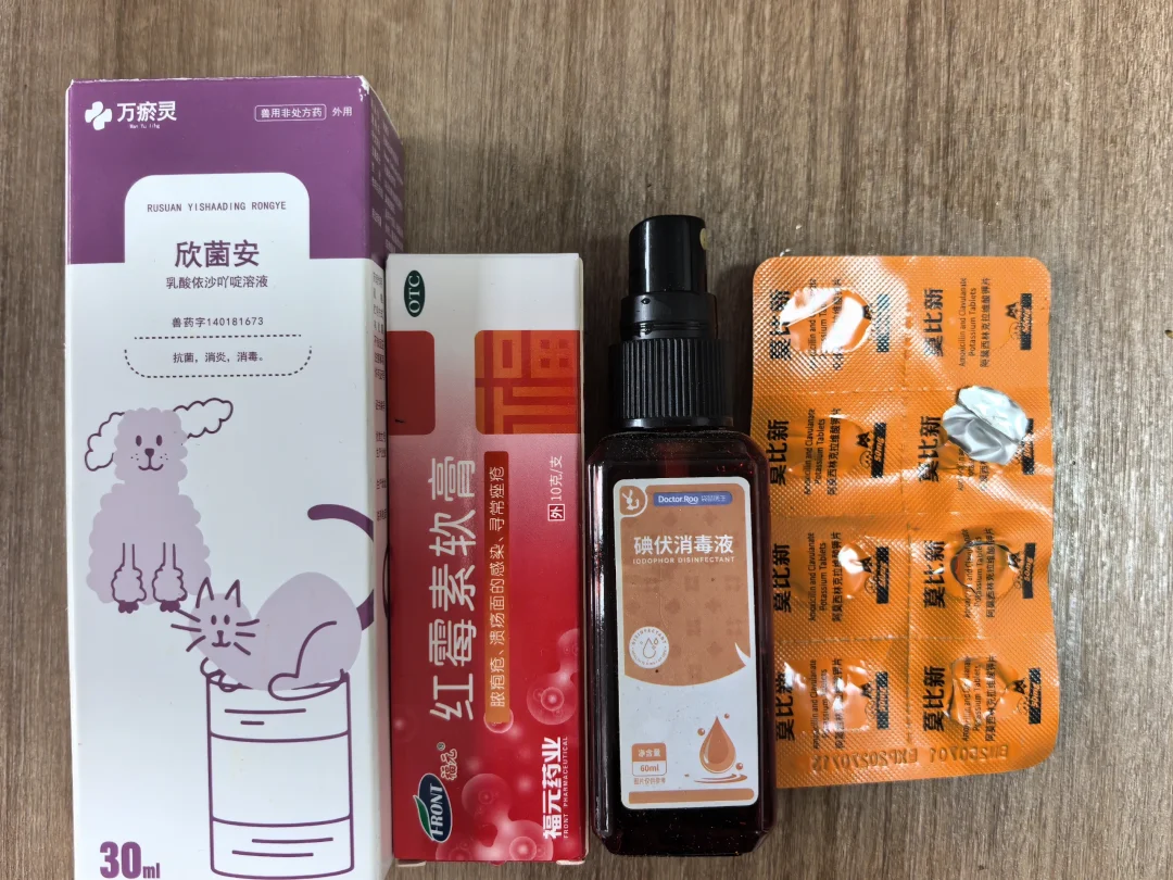 希望你们都小狗都有健康的肛门腺🙃