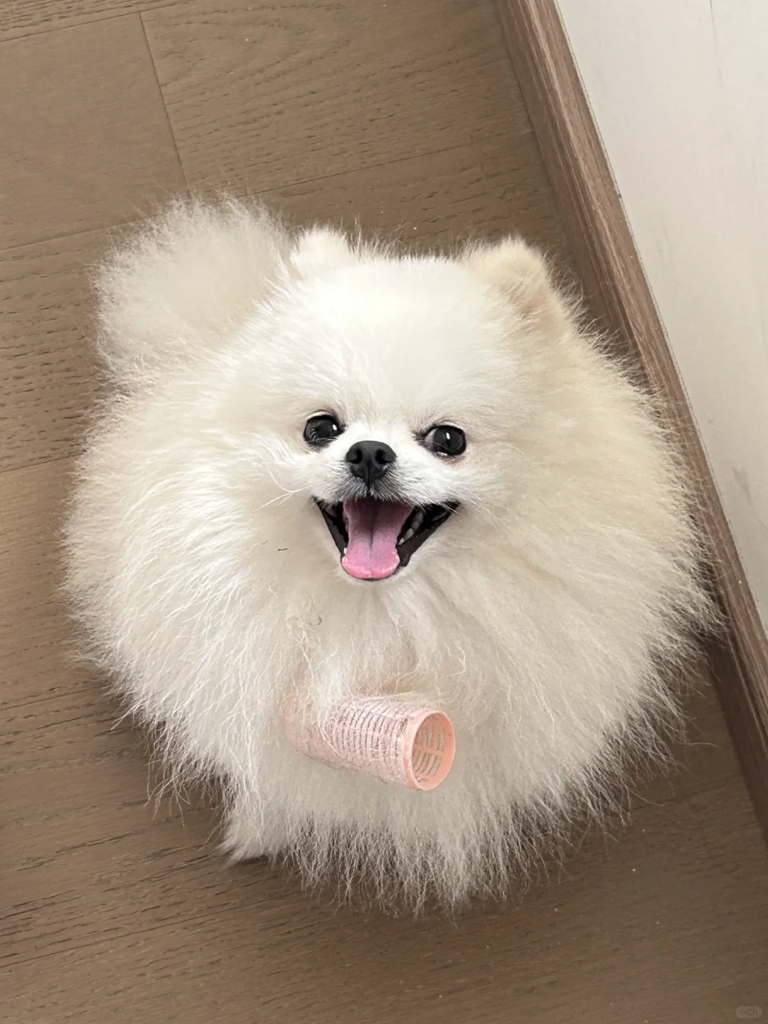 麻麻我又鬼混回来了