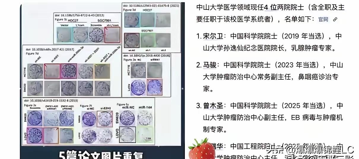 7月14日，博主耿同学发布视频，对中山大学徐瑞华院士团队的五篇论文提出质疑。博主