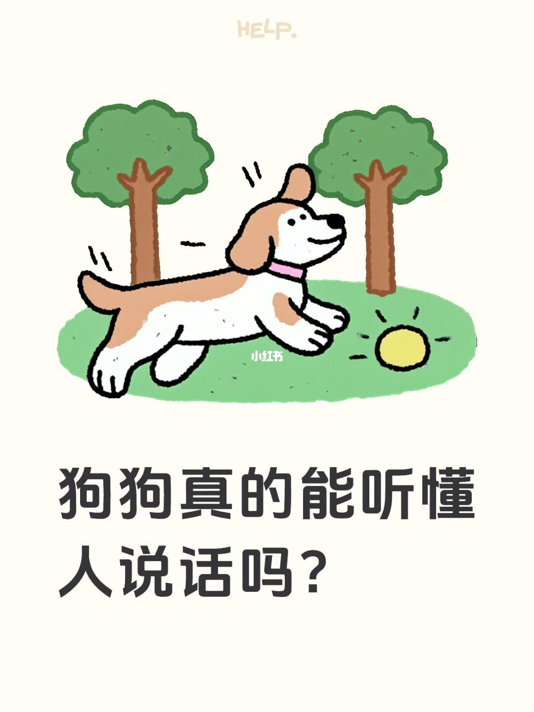 海龟汤真的还是假的啊