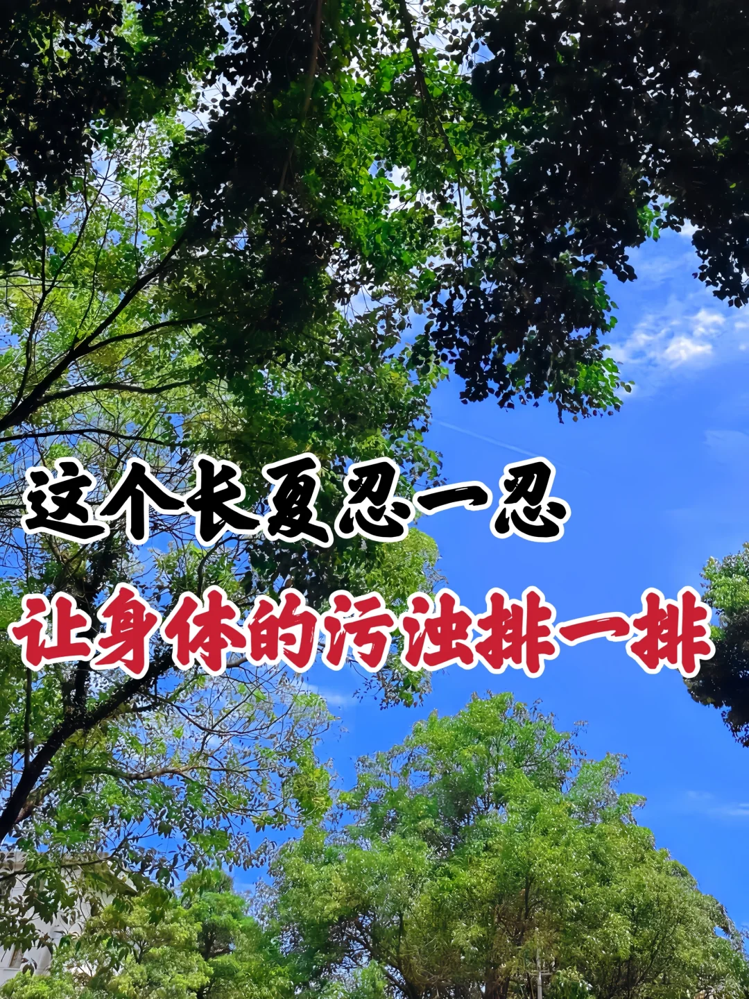 小暑到三伏黄金42天，养胃最佳的季节到了