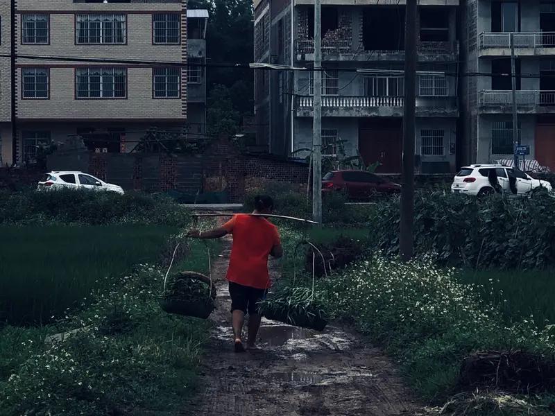 乡下人进城卖菜

黎明不到就出门，
一副菜担两头沉。
来到城池天未亮，
独自享受