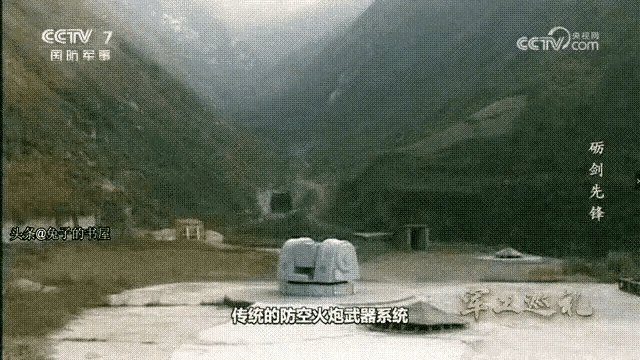 寸草不生炮 ​​​