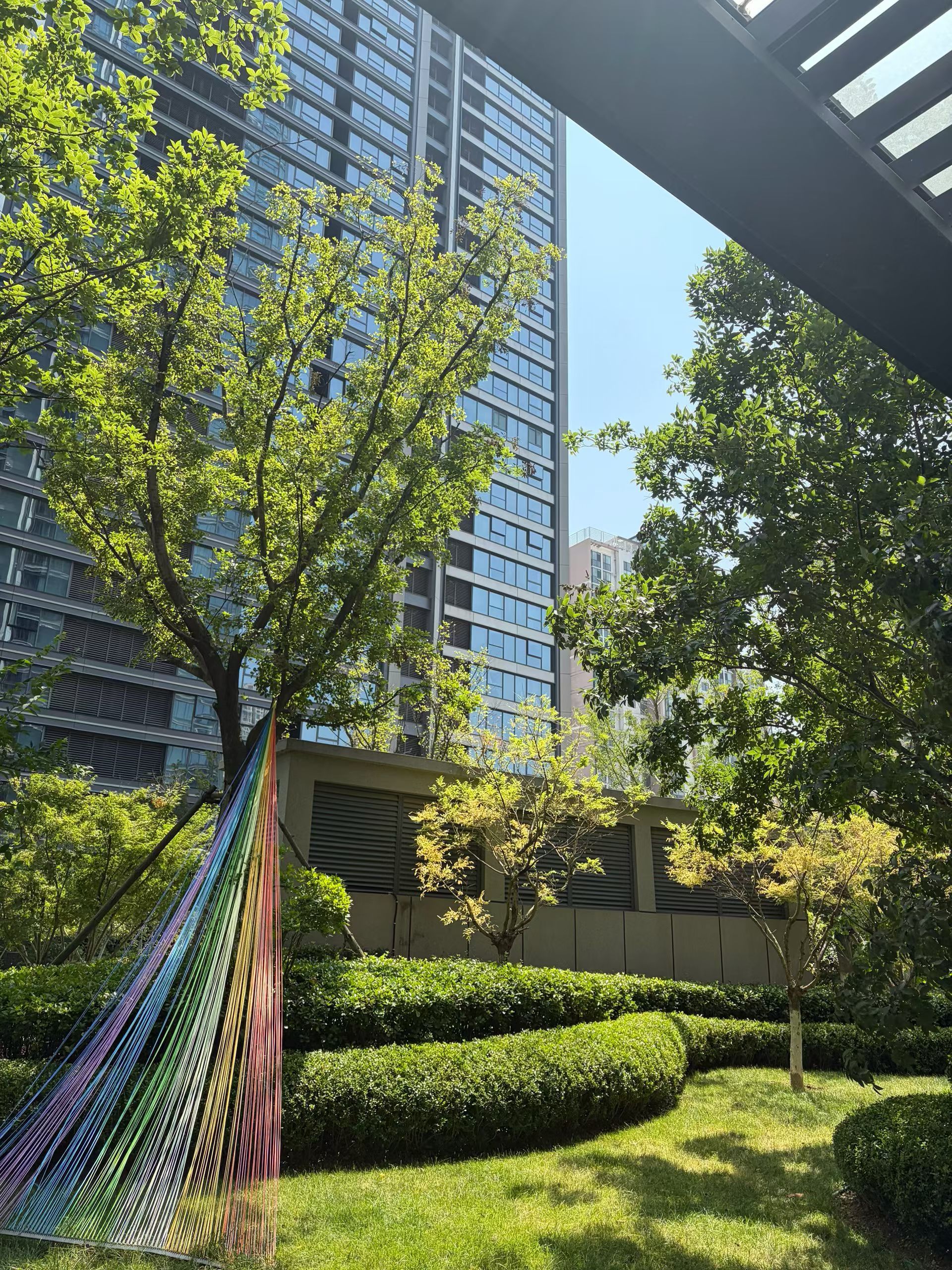 这是青岛此时此刻立秋以后的微风和大太阳 