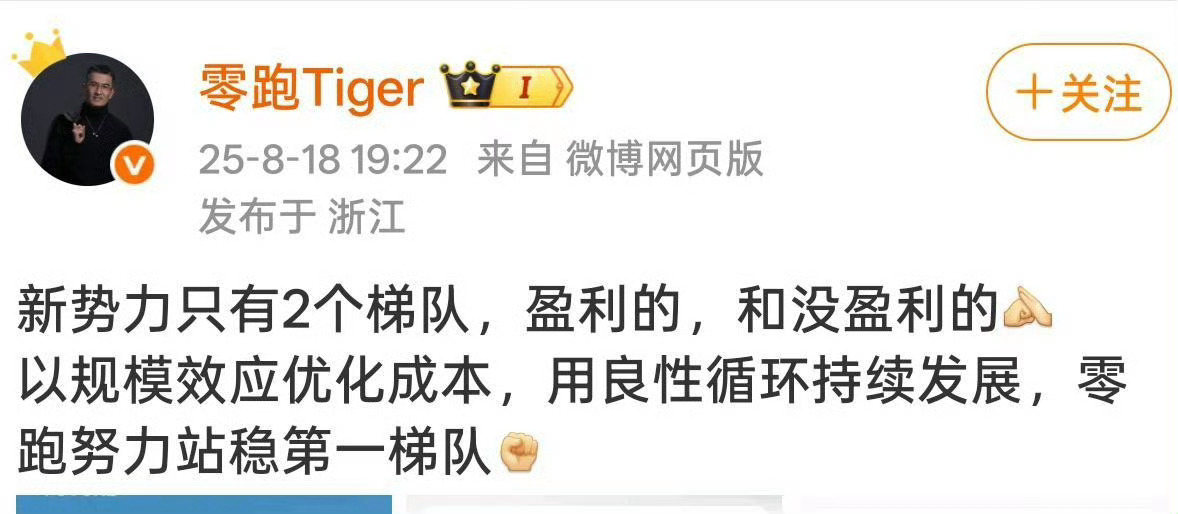 新势力只有2个梯队，盈利的和没盈利的。这一句话，不知道会得罪多少品牌。但这未尝不