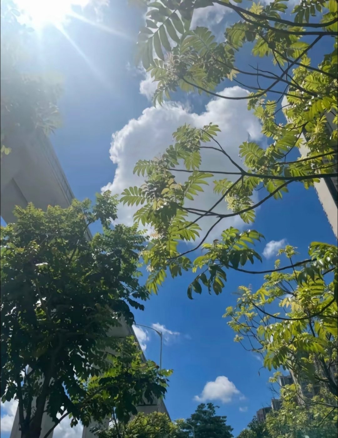 读书是为了增援未来的自己我的私人宝藏书单书评 所谓人的成长，其实是“不断发现个人