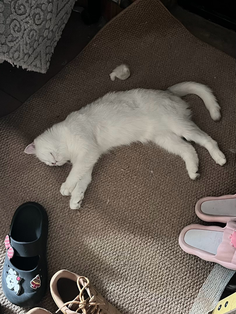 铁拳教育给我看爽了家人们都去看 