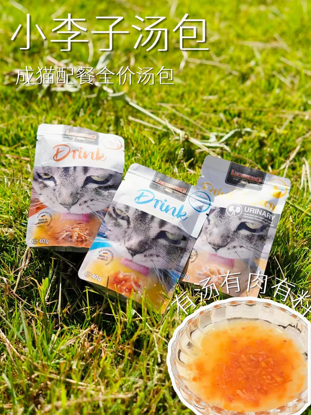 懒人救星！猫咪秋冬补水靠小李子汤包💦