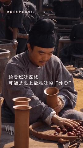 电影长安的荔枝预售开启 听说电影参考了现实中果农的智慧，对荔枝保鲜、转运路线的细