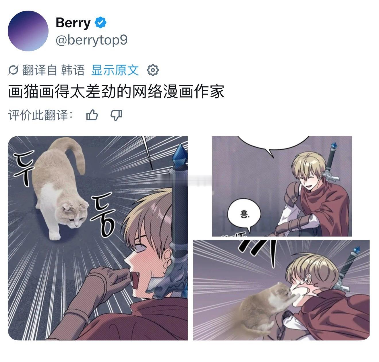 韩漫作者不会画猫？实际上只是想炫耀小猫咪罢了 