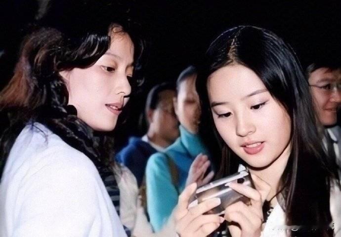 向太：“刘亦菲妈妈长得比刘亦菲还漂亮，有很多人追，但终身没有再嫁。她倾其所有去爱