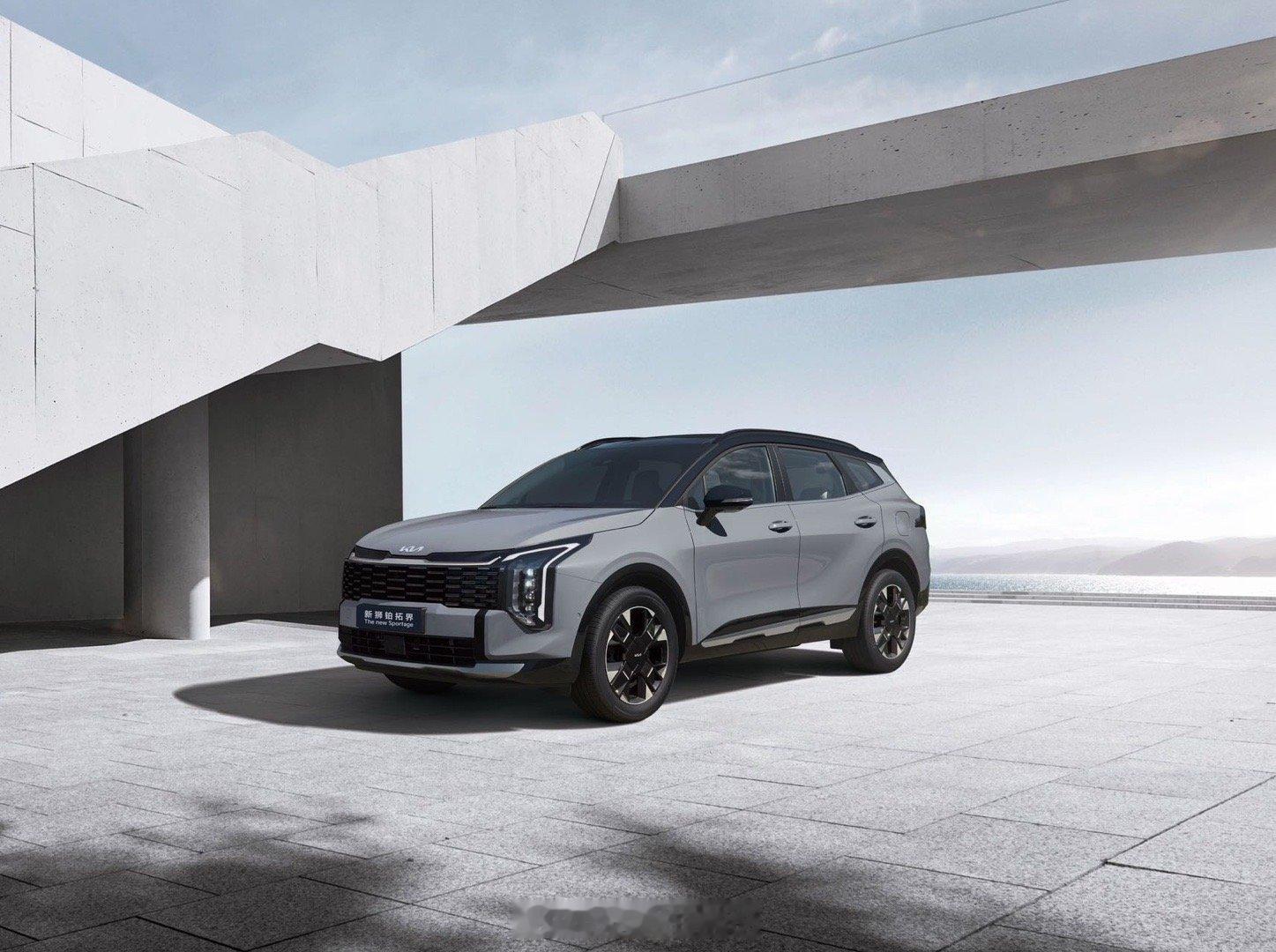 车主征集，有没有起亚新狮铂托界的车主朋友嘛？我们有个选题需要你呢