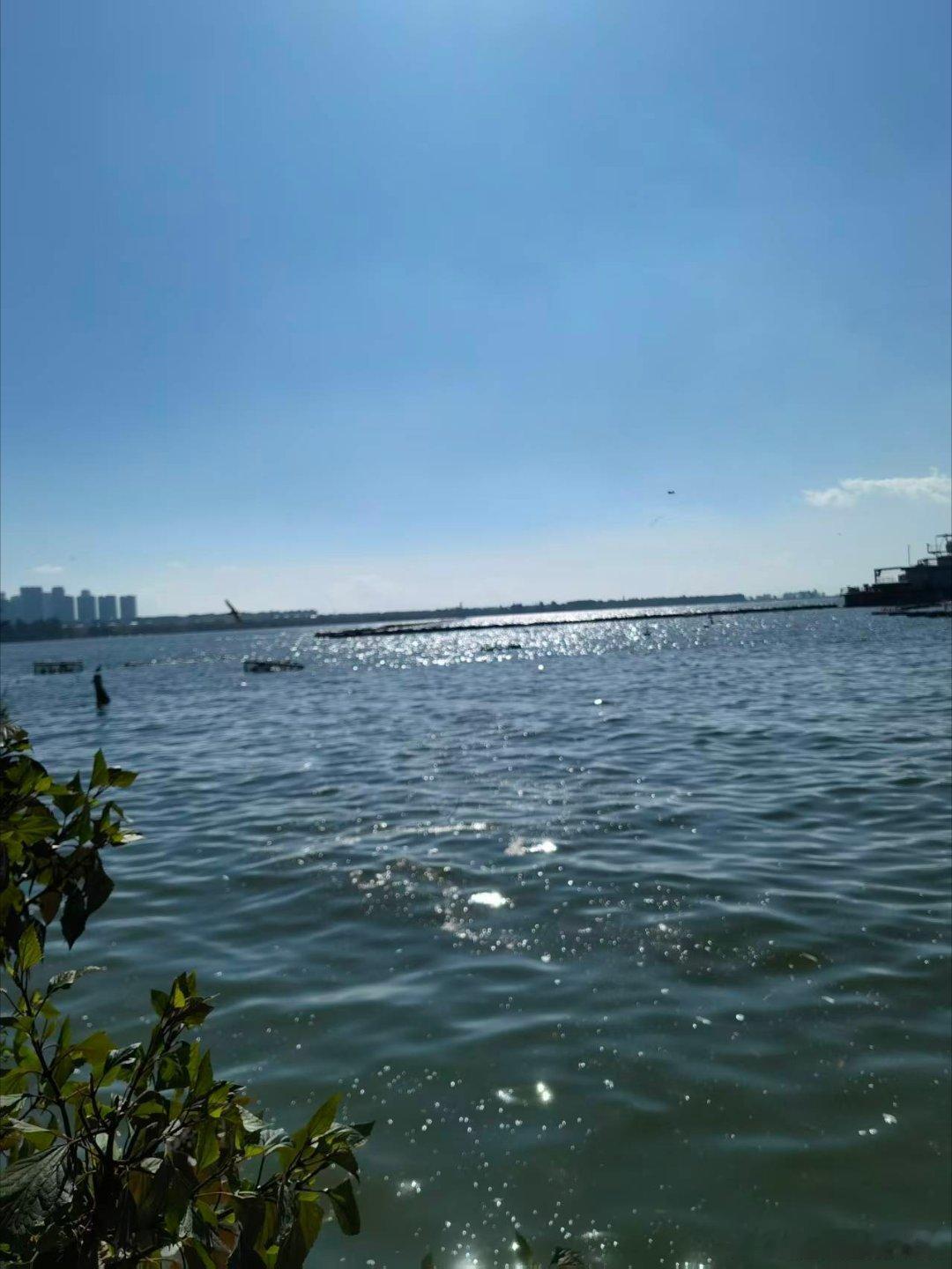 早安 问路才不会迷路，留退路才不会有绝路，敢回头就没有死路。失去了不一定是失败，