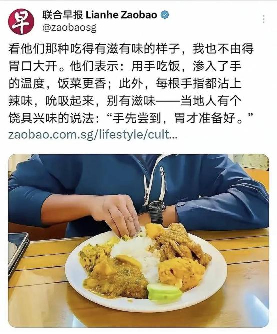 新加坡的这点小心思，谁还看不明白？七成半华人用筷子，印裔不到一成，结果总统是印裔