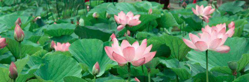 10月29日最高检通报，贵州省卫生健康委员会原副厅级干部田艳因涉嫌受贿被逮捕。田