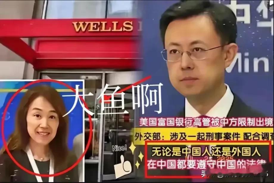 美籍华裔茅晨月，富国银行的头头，搞金融猫腻转移资金、泄敏感数据，被拦在上海走不了