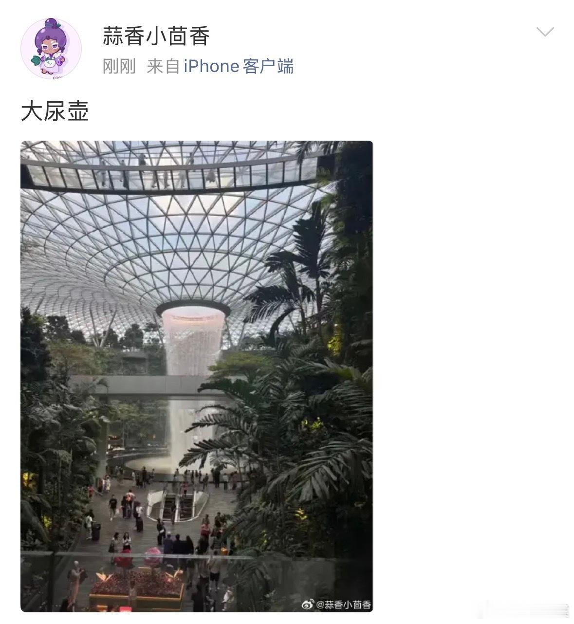 朋友圈和微博的差别belike 
