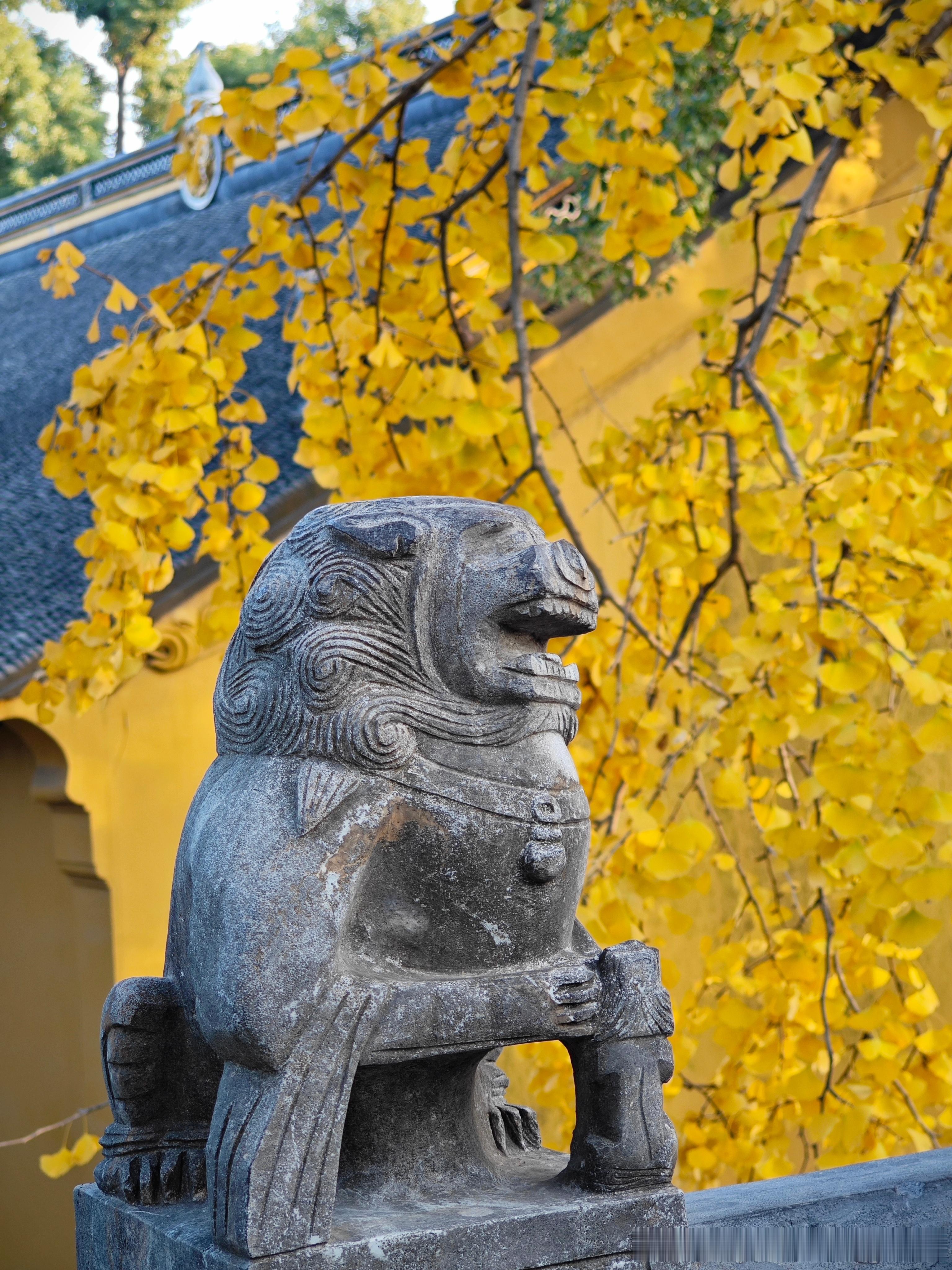 虎丘的秋 苏州·虎丘